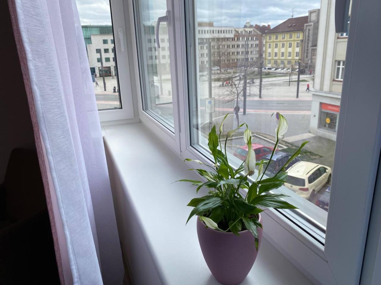 Perla Hradce 302 Apartment Hradec Kralove Ngoại thất bức ảnh